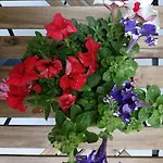 Center -braga * Braga