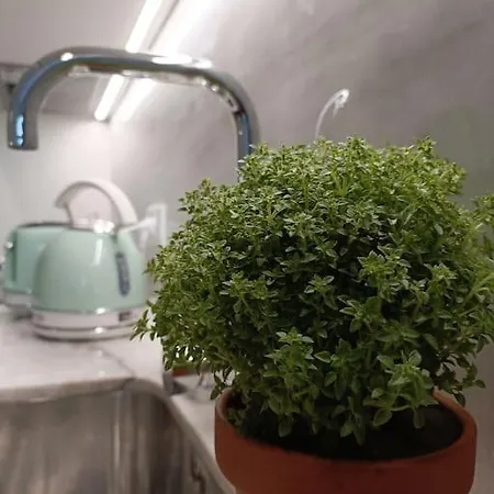 Center -braga * Braga