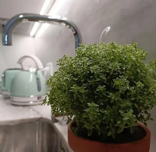 Center -braga * Braga